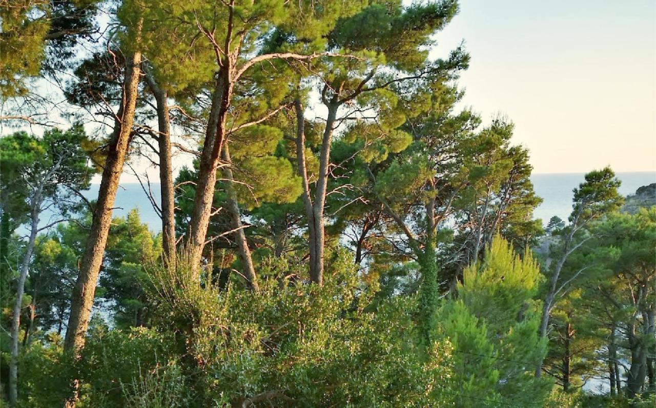 فيلا House In The Pines سوتوموري المظهر الخارجي الصورة